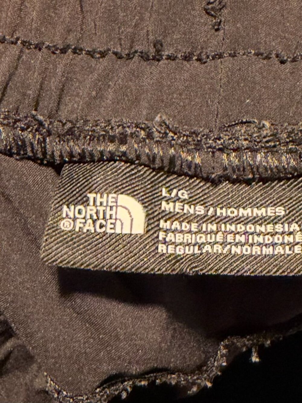 North Face Wander Joggers - Picture 3 of 4